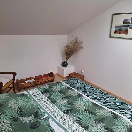 Authentique Au Coeur De Avec Piscine Privee, Jacuzzi Et Terrain De Petanque